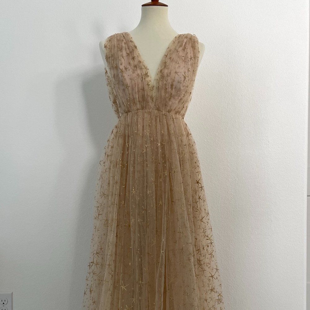 SOLD - Joanna August x BHLDN Star Tulle Dress